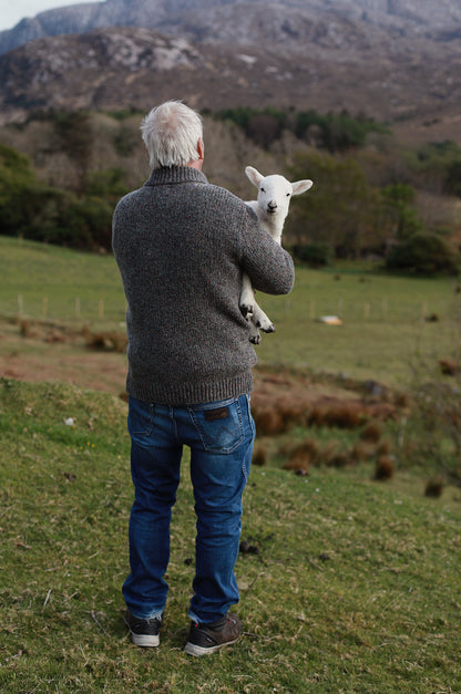 Glen Half-Zip Men's Jumper