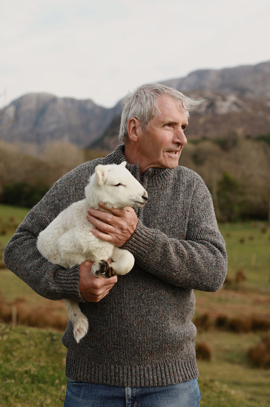 Glen Half-Zip Men's Jumper