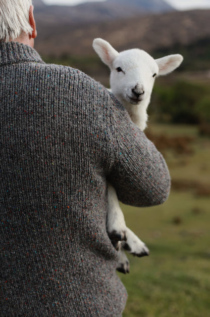 Glen Half-Zip Men's Jumper